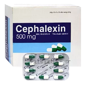 cephalexin